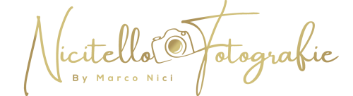 nicitello2023